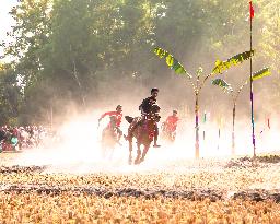 Traditional Horse Racing Competition In Bangladesh