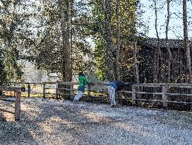 Two Women Exercising Outdoors