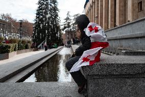 Salome Zourabichvili Leaves The Presidential Palace After Kavelashvili's Inauguration