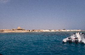 Tourist killed in shark attack in Marsa Alam - Egypt