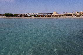 Tourist killed in shark attack in Marsa Alam - Egypt