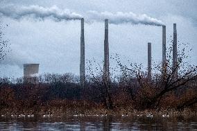 Canada Geese And Pollution From The Miami Fort Power Plant