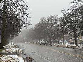 Cold And Rainy Foggy Morning In Toronto, Canada