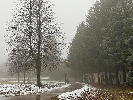 Cold And Rainy Foggy Morning In Toronto, Canada