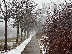 Cold And Rainy Foggy Morning In Toronto, Canada