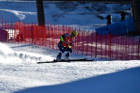 SPORT INVERNALI - Sci Alpino - AUDI FIS Ski World Cup - SuperG - Men