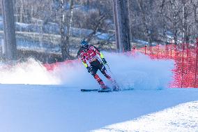 SPORT INVERNALI - Sci Alpino - AUDI FIS Ski World Cup - SuperG - Men