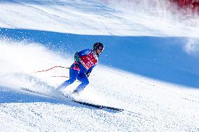 SPORT INVERNALI - Sci Alpino - AUDI FIS Ski World Cup - SuperG - Men