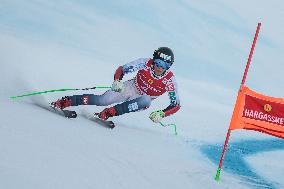 SPORT INVERNALI - Sci Alpino - AUDI FIS Ski World Cup - SuperG - Men