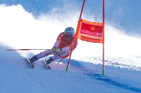 SPORT INVERNALI - Sci Alpino - AUDI FIS Ski World Cup - SuperG - Men