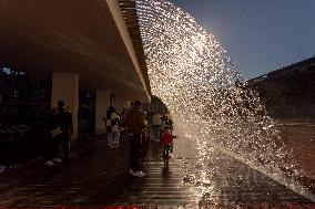 Dive Into Wonder Lisbon Oceanarium