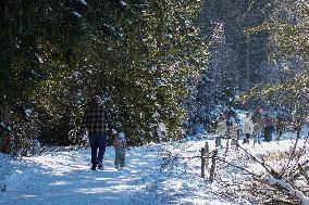 Winter Walkers In The Bavarian Municipality Kruen