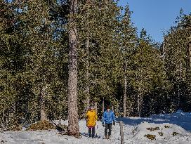 Winter Walkers In The Bavarian Municipality Kruen