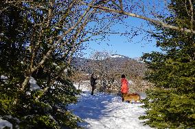 Winter Walkers In The Bavarian Municipality Kruen