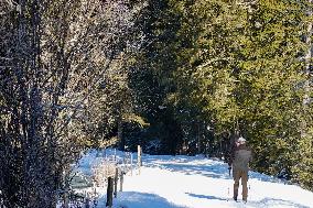 Winter Walkers In The Bavarian Municipality Kruen