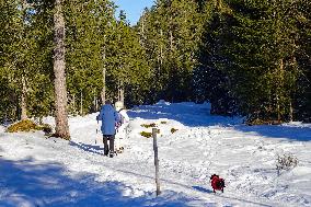 Winter Walkers In The Bavarian Municipality Kruen