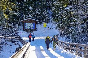 Winter Walkers In The Bavarian Municipality Kruen