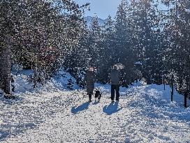 Winter Walkers In The Bavarian Municipality Kruen