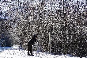 Winter Walkers In The Bavarian Municipality Kruen