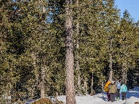 Winter Walkers In The Bavarian Municipality Kruen