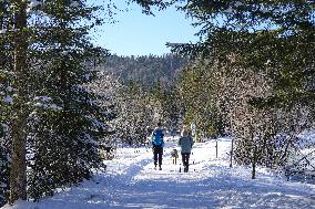 Winter Walkers In The Bavarian Municipality Kruen