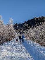 Winter Walkers In The Bavarian Municipality Kruen