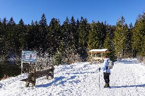 Winter Walkers In The Bavarian Municipality Kruen