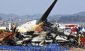 Plane crash kills 179 in S. Korea