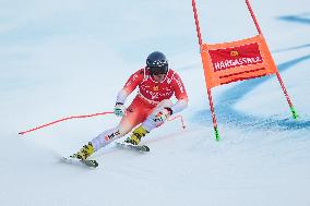 SPORT INVERNALI - Sci Alpino - AUDI FIS Ski World Cup - SuperG - Men