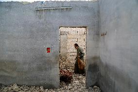 Oud Player And Singer Lost His Home - Idlib