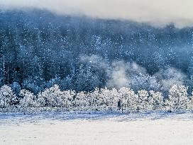 Winter Landscape In The District Of Garmisch-Partenkirchen