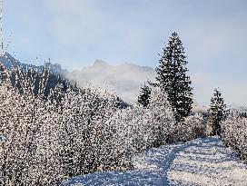 Winter Landscape In The District Of Garmisch-Partenkirchen