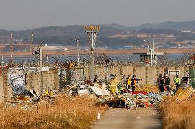 Muan International Airport Plane Crash