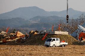 Muan International Airport Plane Crash