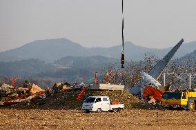 Muan International Airport Plane Crash