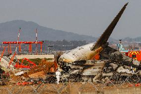 Muan International Airport Plane Crash