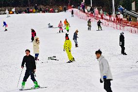 Ice and Snow Sports Popularity