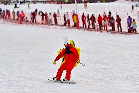 Ice and Snow Sports Popularity