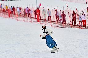 Ice and Snow Sports Popularity