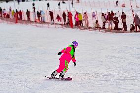 Ice and Snow Sports Popularity