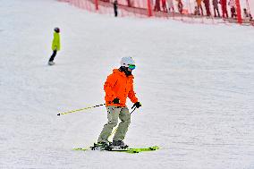 Ice and Snow Sports Popularity