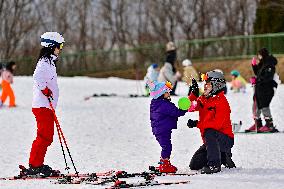 Ice and Snow Sports Popularity