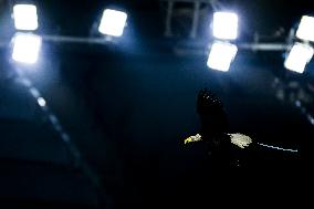 CALCIO - Serie A - SS Lazio vs Atalanta BC