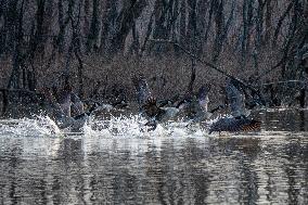 Wildlife At The Oxbow Nature Conservancy