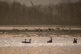 Wildlife At The Oxbow Nature Conservancy