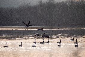 Wildlife At The Oxbow Nature Conservancy