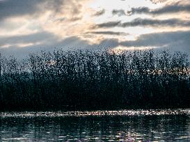 Wildlife At The Oxbow Nature Conservancy