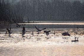 Wildlife At The Oxbow Nature Conservancy