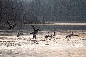 Wildlife At The Oxbow Nature Conservancy