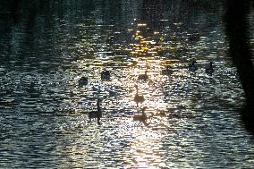 Wildlife At The Oxbow Nature Conservancy